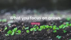 What you focus on grows.